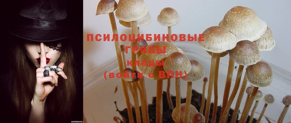 стаф Белокуриха