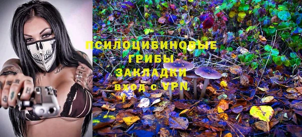стаф Белокуриха