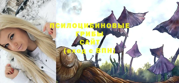прущая мука Беломорск