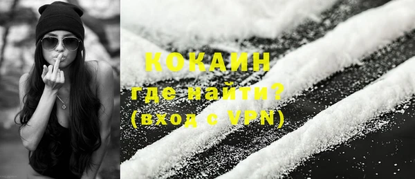 стаф Белокуриха