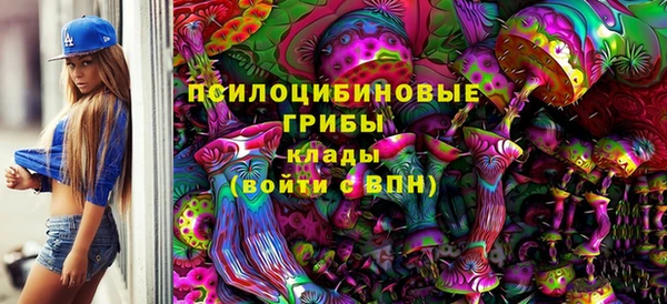 стаф Белокуриха
