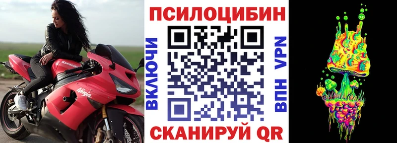 где купить   Верещагино  Псилоцибиновые грибы мицелий 